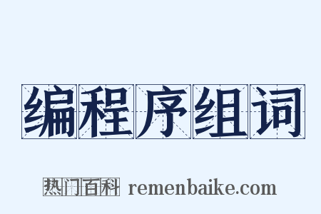 编程序组词是什么意思的图片